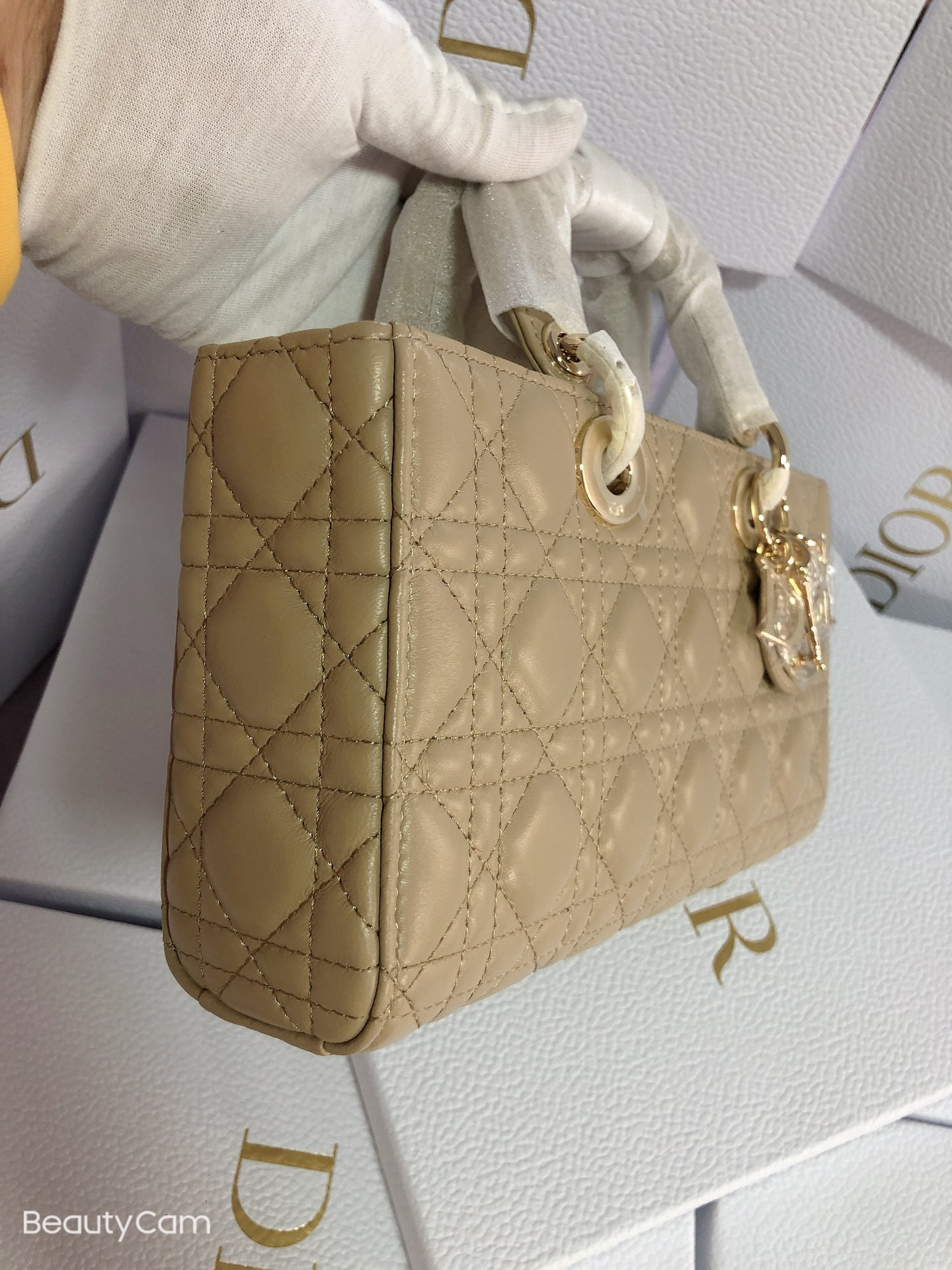 D*or lady d-joy bag medium sad colored 26 x 13.5 x 5 cm