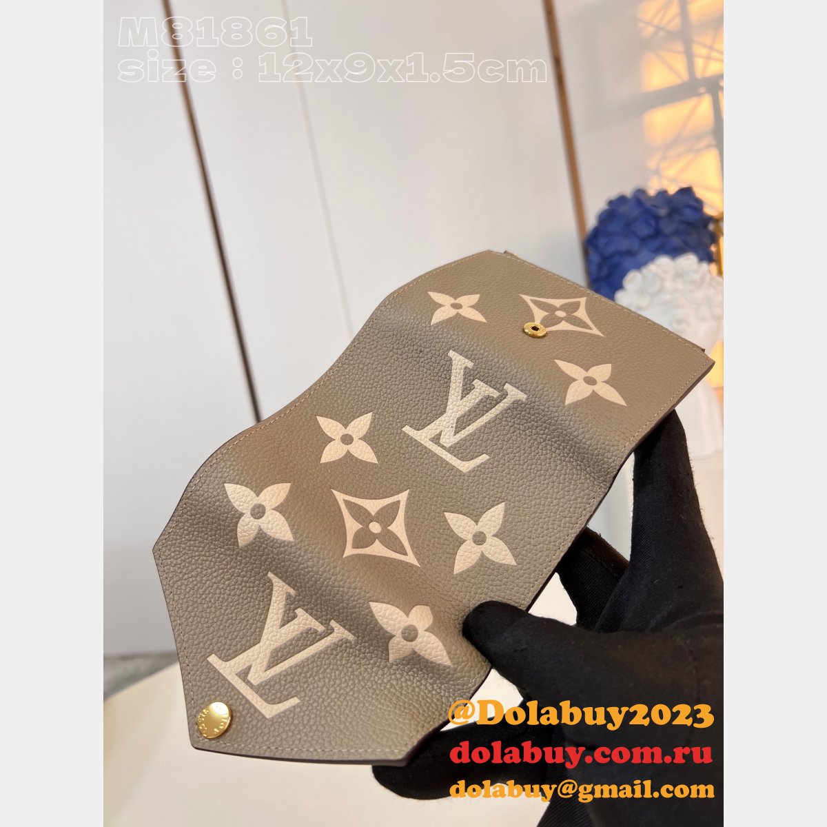 Victorine Wallet Bicolor M81861 Fake Louis Vuitton Gray Bag