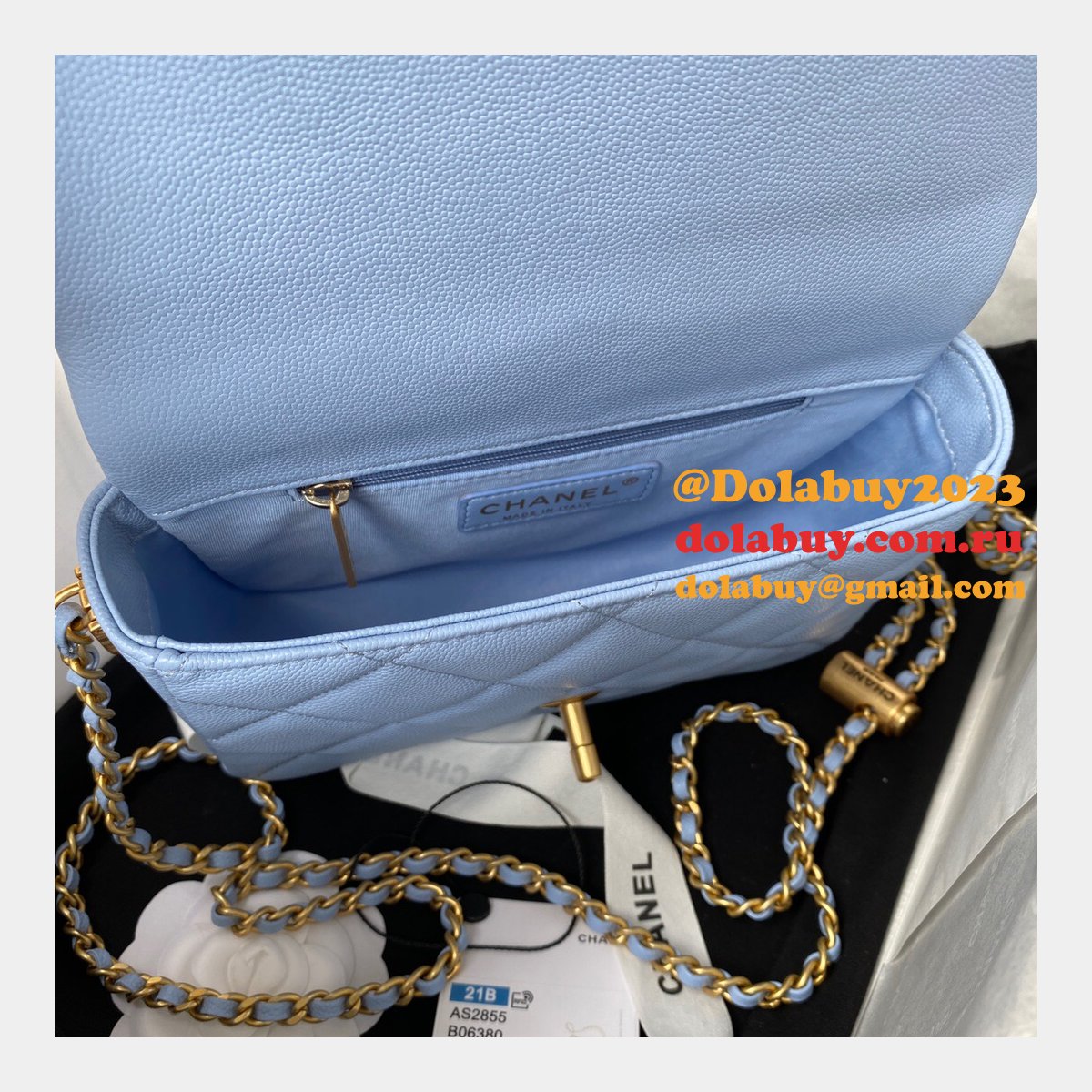 High Quality Designer Replica Mini AS2855 Flap Bag Iridescent Grained Calfskin & Gold-Tone Metal