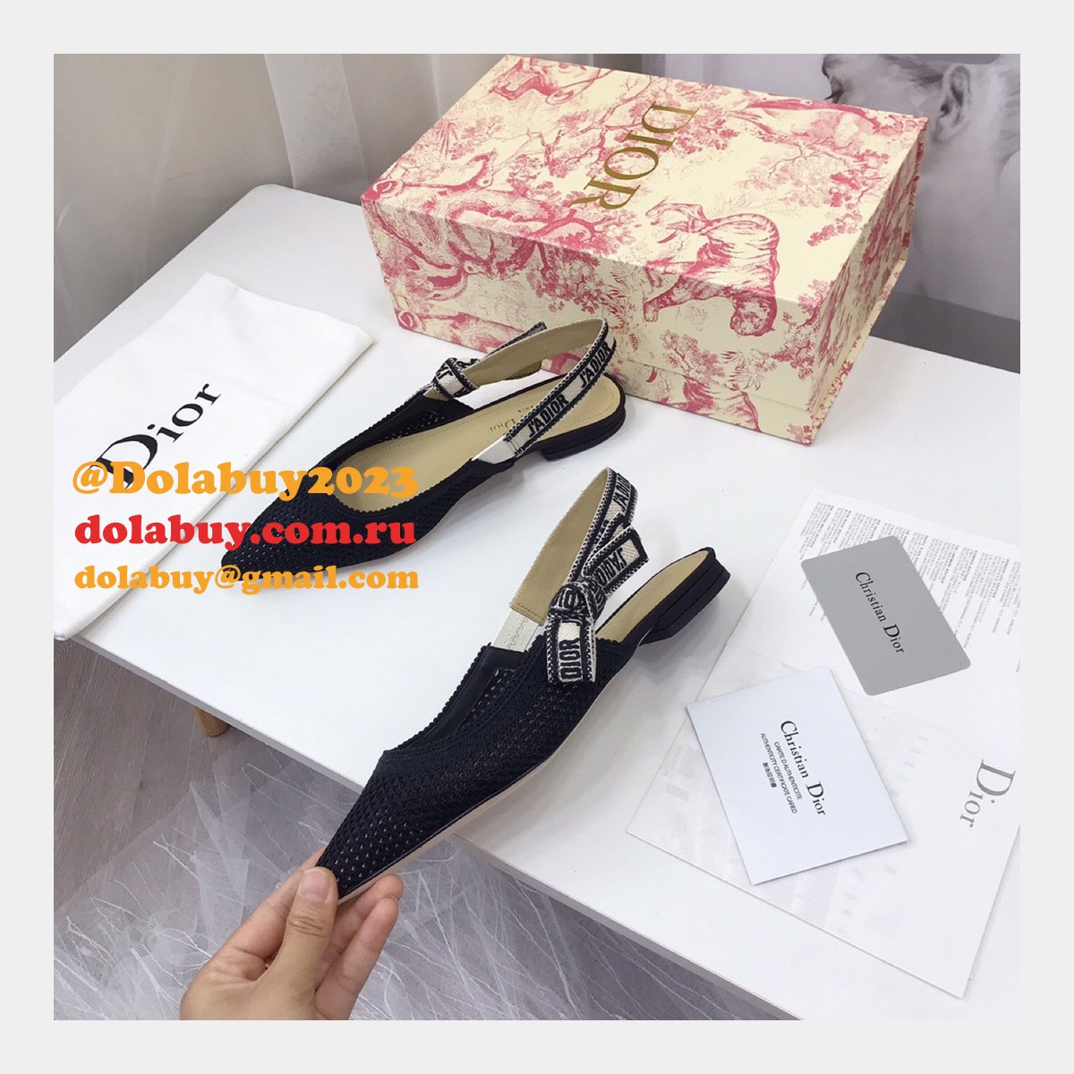 Luxury High Quality Fashion Designer Dior Shoes