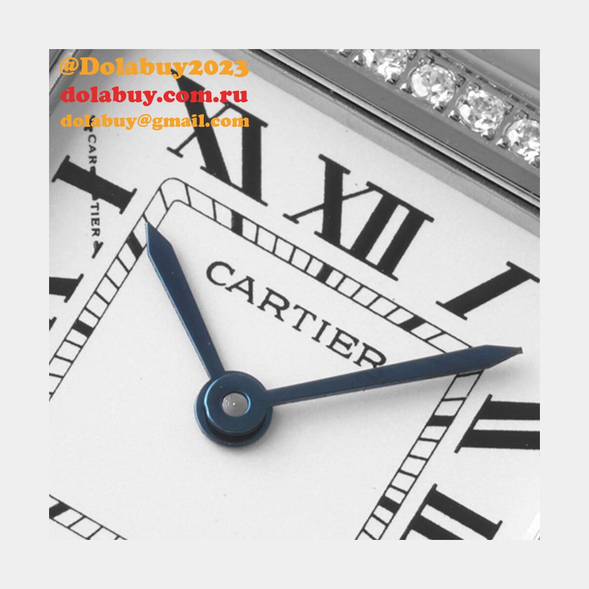 Cartier Medium Panthere de Cartier watch