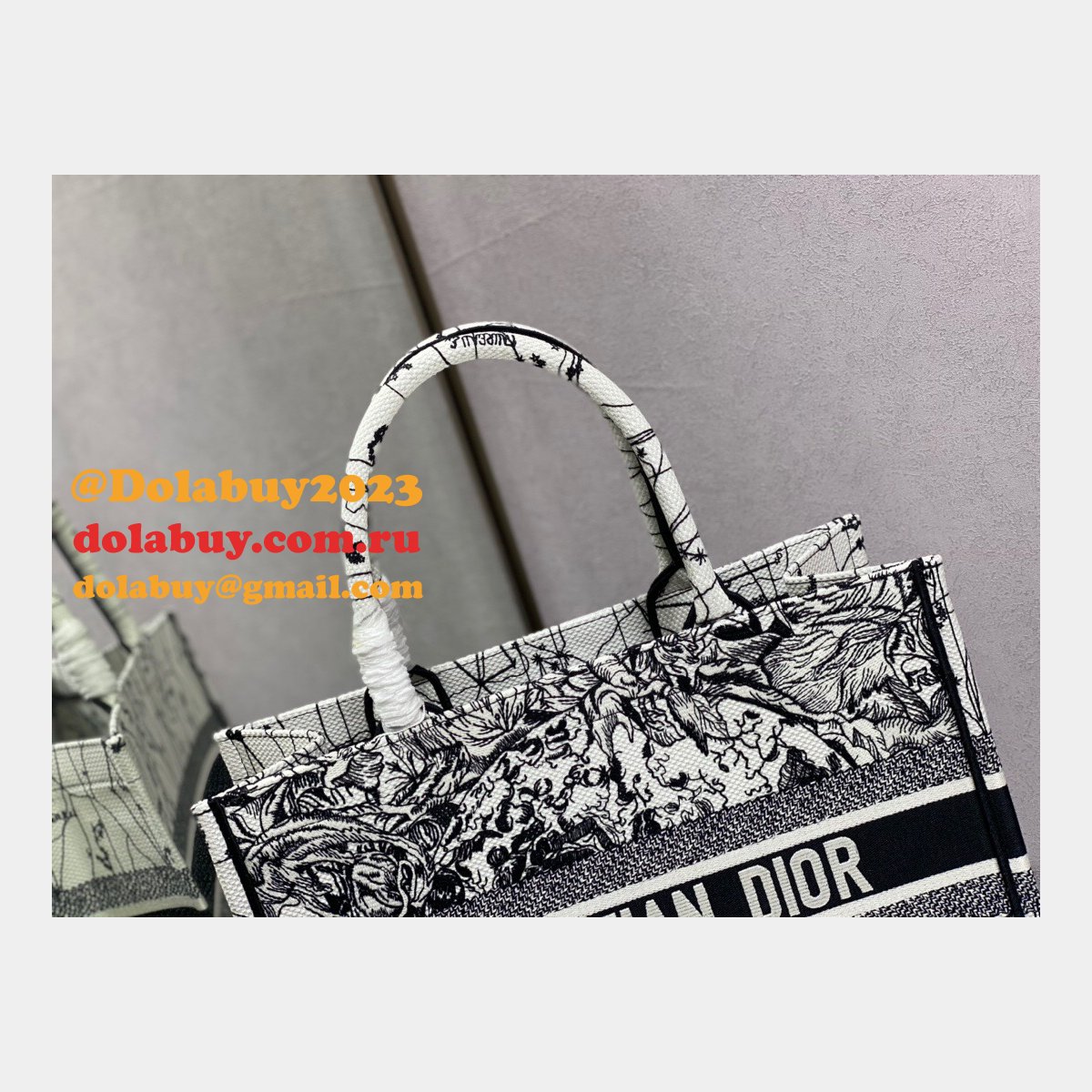 Buy High Quality Dior Replica CD Tote Bags for Women