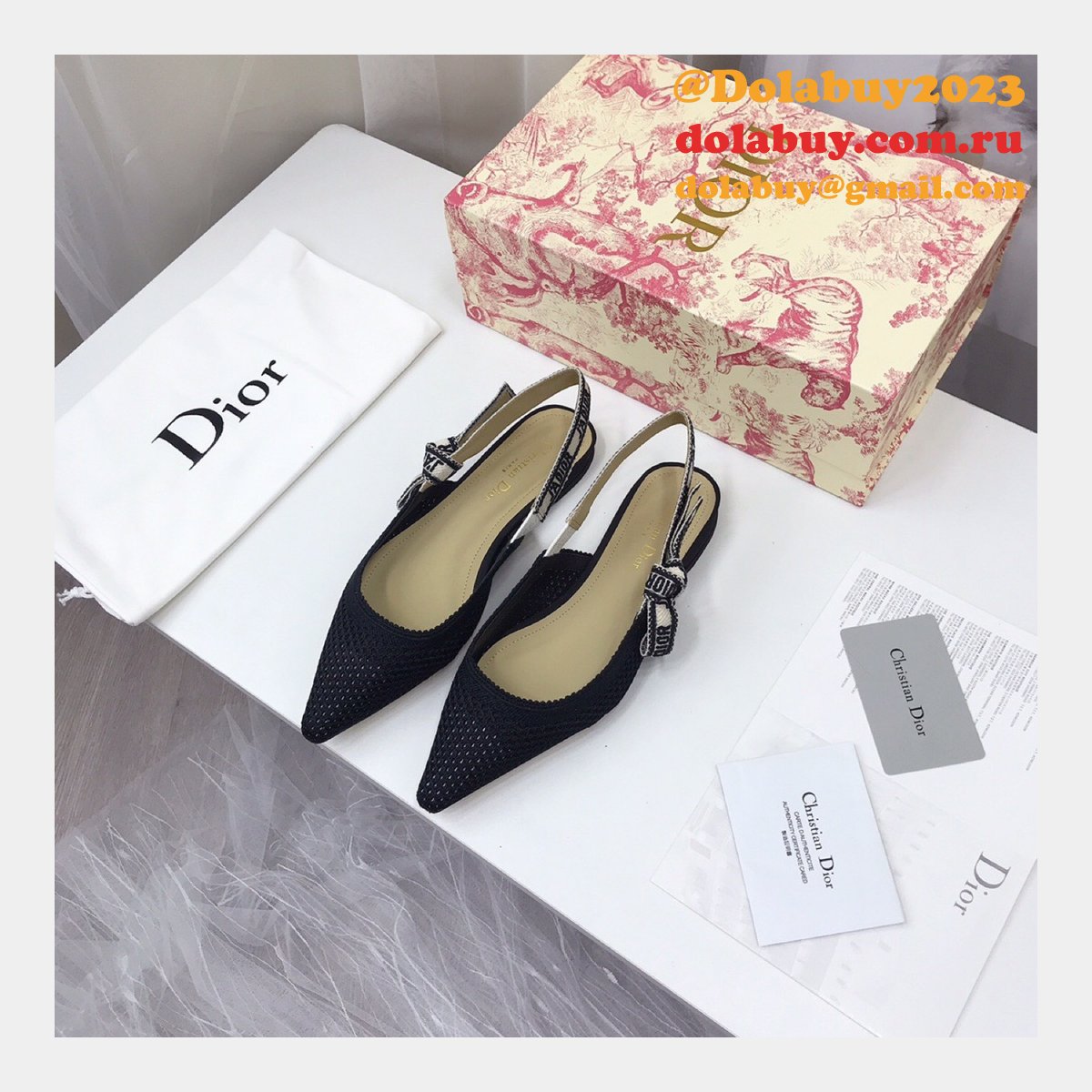 Luxury High Quality Fashion Designer Dior Shoes
