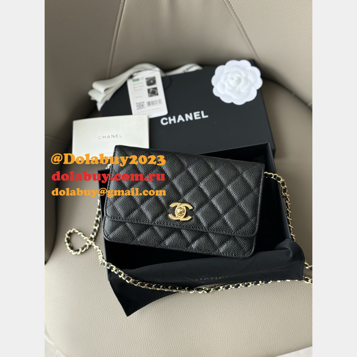 Wallet-On-Chain Replica AAA+ AP2053 Woc Purses