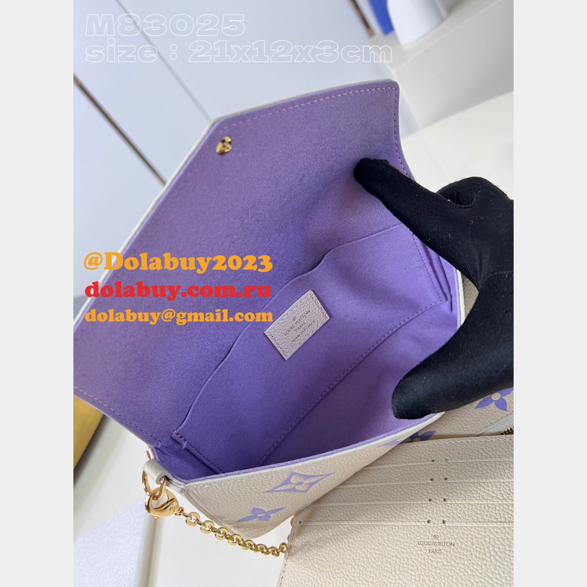 Félicie Pochette Knockoff M64064/M83025 Louis Vuitton Designer Bag