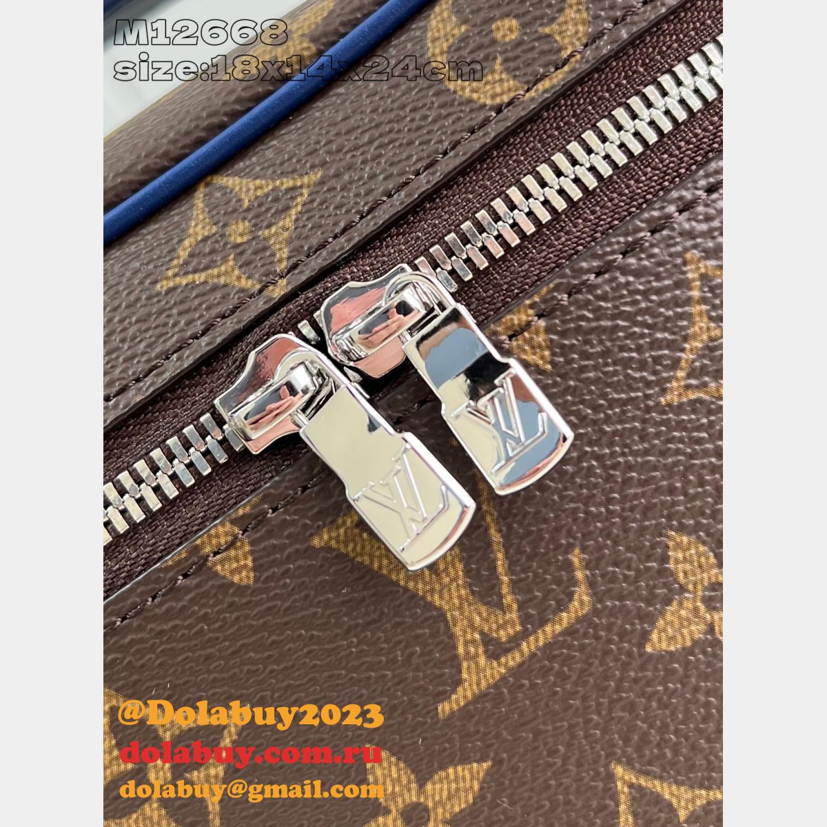 Replicas Louis Vuitton Nice Macassar M12667/M12668/M12671 Bag
