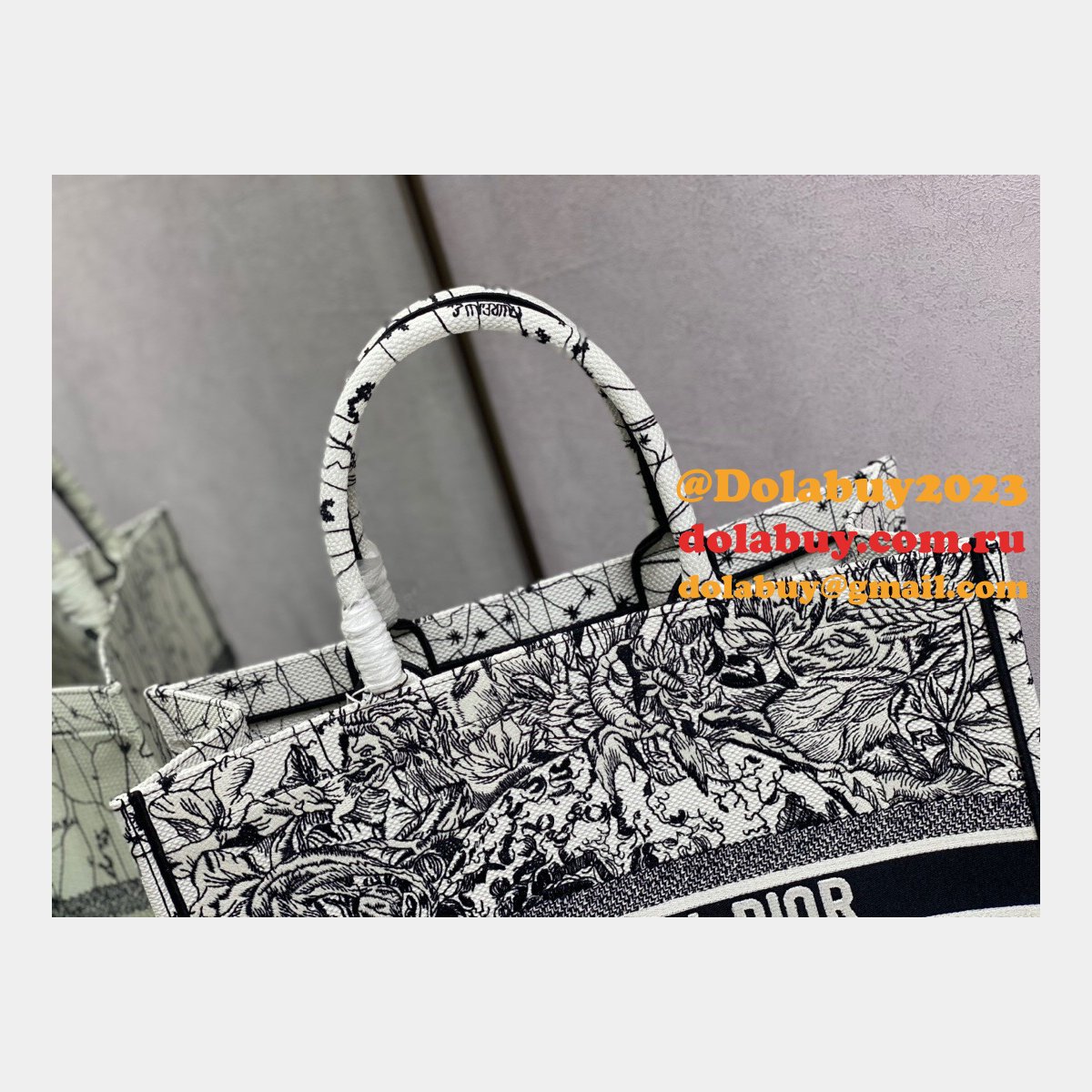 Replica Christian Dior Trotter Pattern Hand CD Book Tote Bag