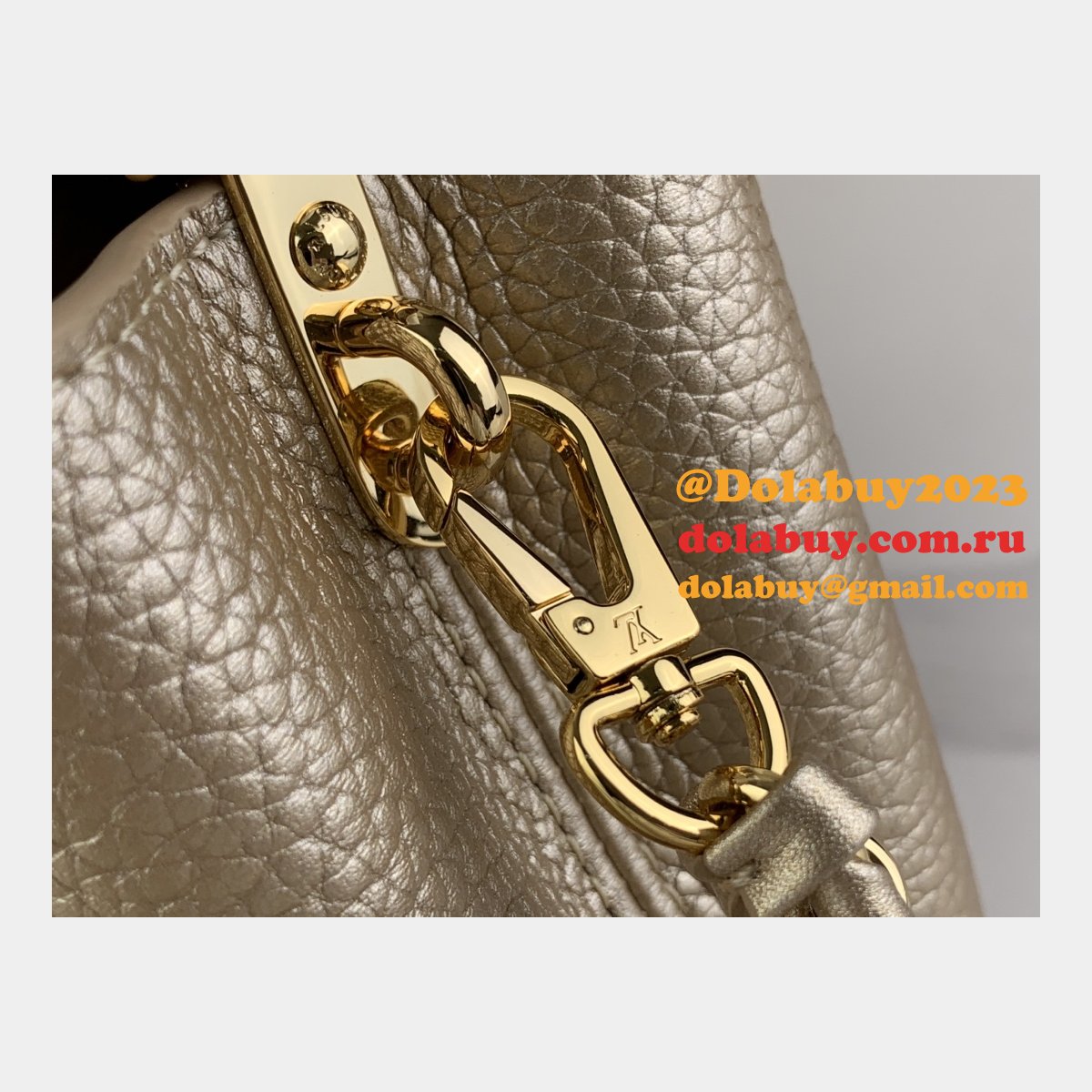 The Dolabuy Replica Capucines Louis Vuitton M48865 M24583 Bag