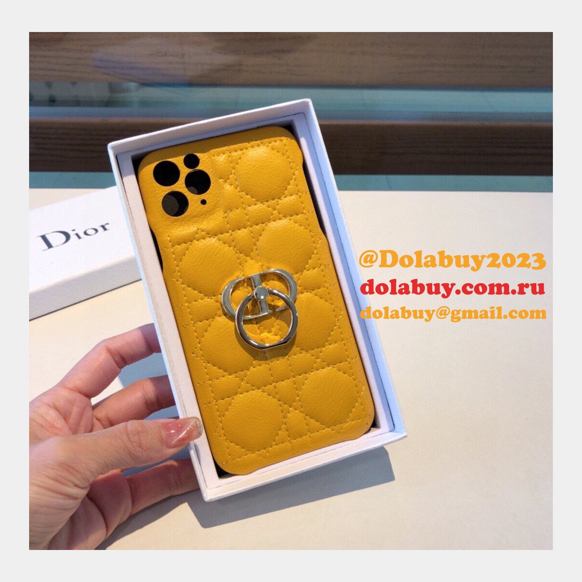 Best Christian Dior iPhone Cases