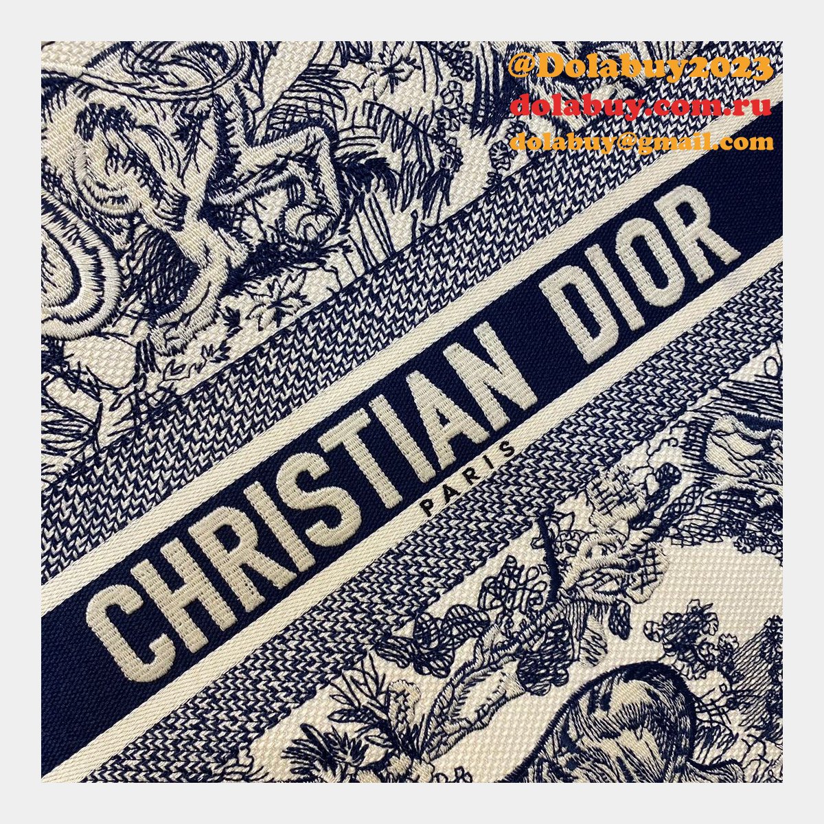 Best Christian Dior CD Book Tote Tiger High Quality Bags