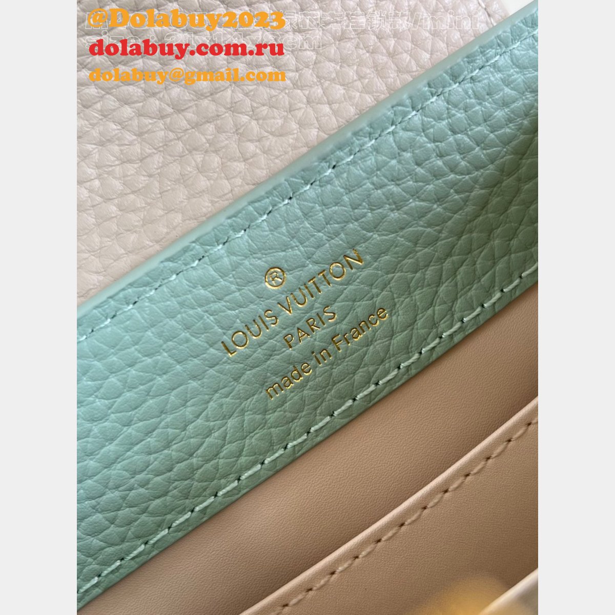 Louis Vuitton Replica Capucines Python Handle M48865 Avocado Green Bag
