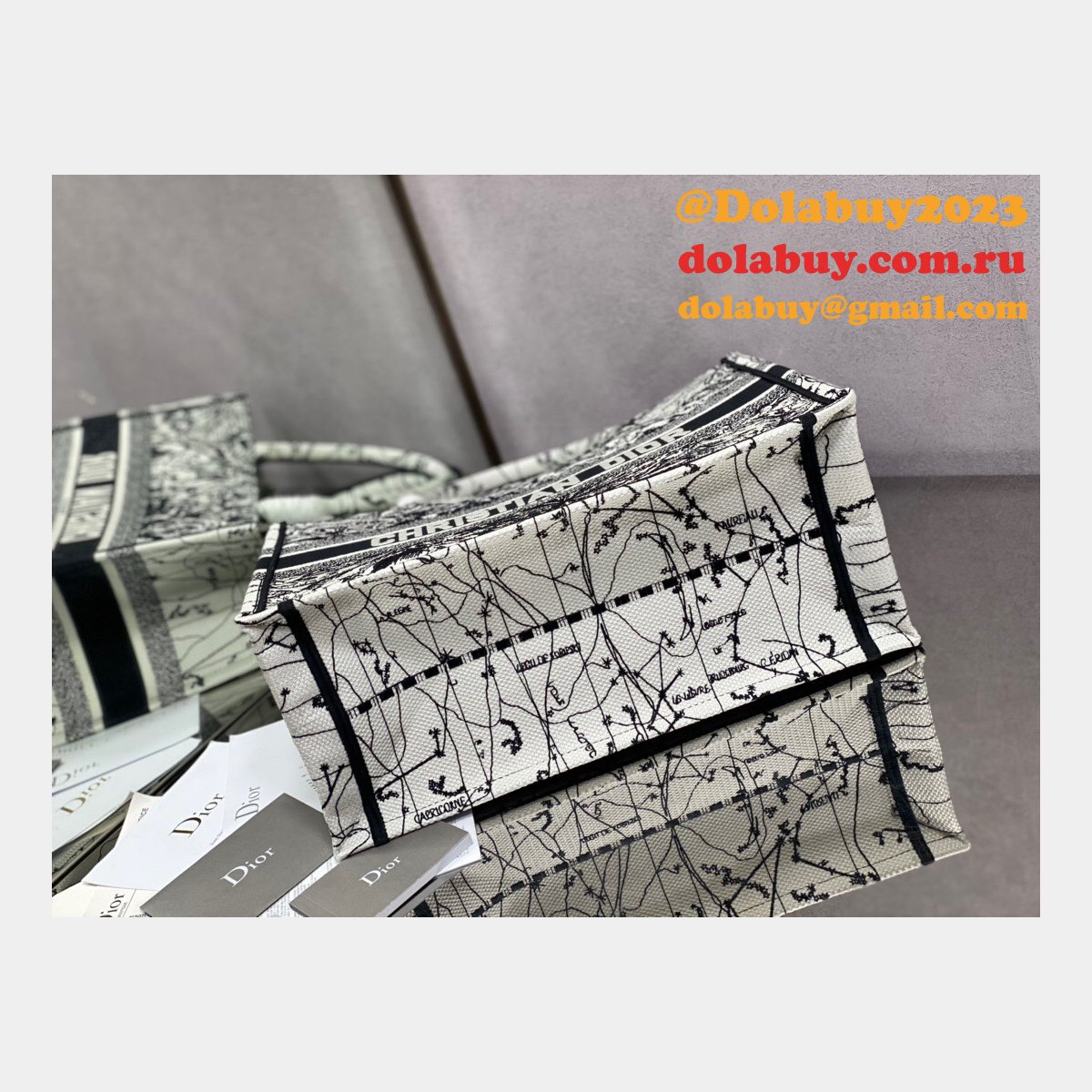 Buy High Quality Dior Replica CD Tote Bags for Women