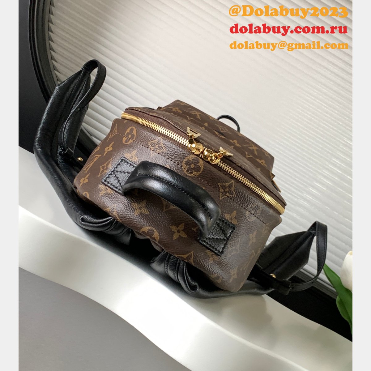 Top Quality Classical Palm Springs Louis Vuitton backpack