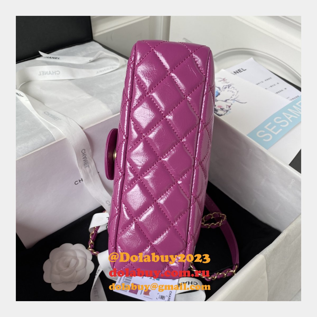 The Best High Quality AS4322 Hobo Shiny Replica Handbag