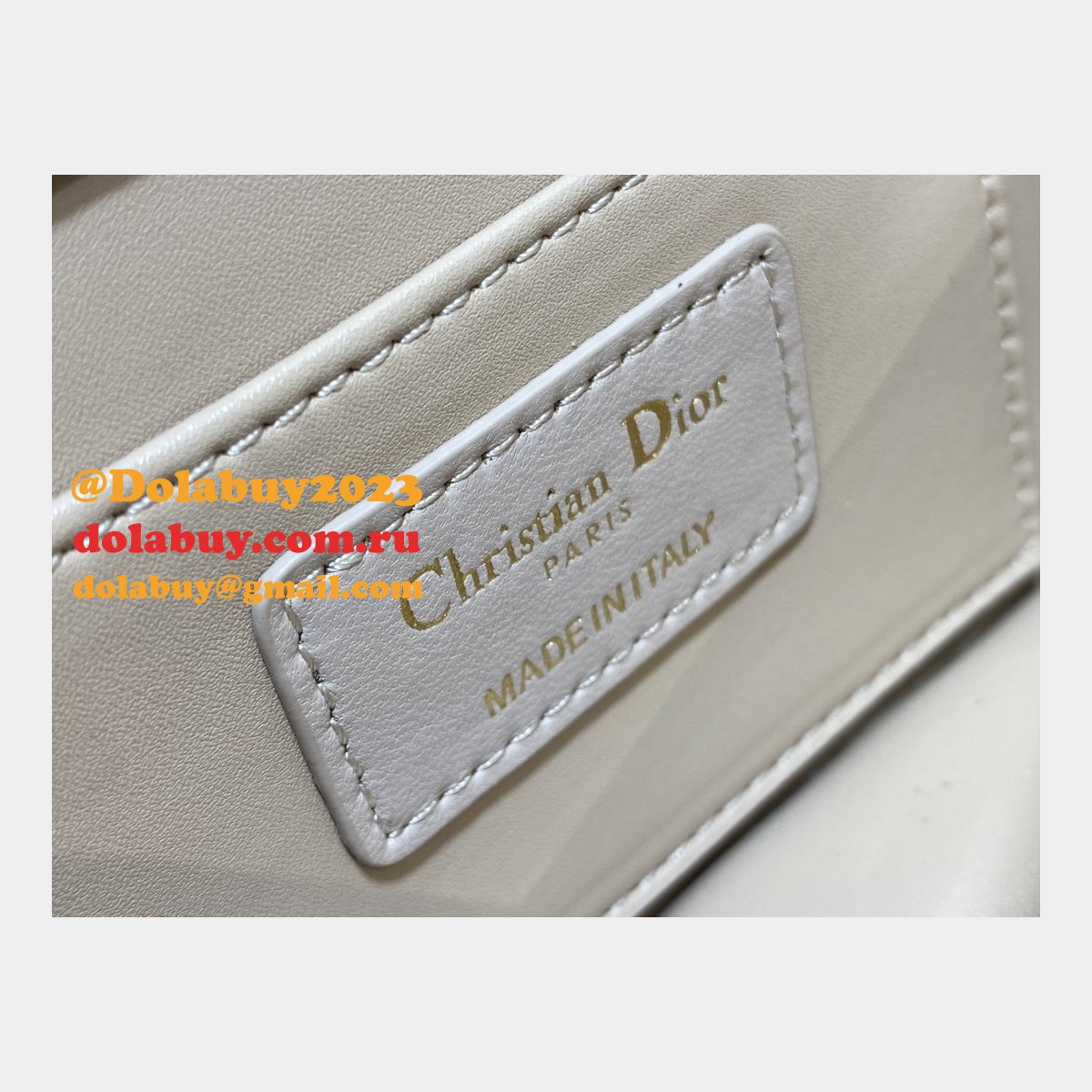 Dior 1:1 Mirror 3112 Anage Chain Handle Replica Bag