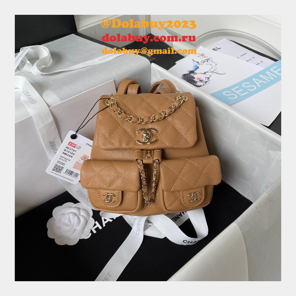 Wholesales High Quality Backpack AS3860/AS3787 Store Bag