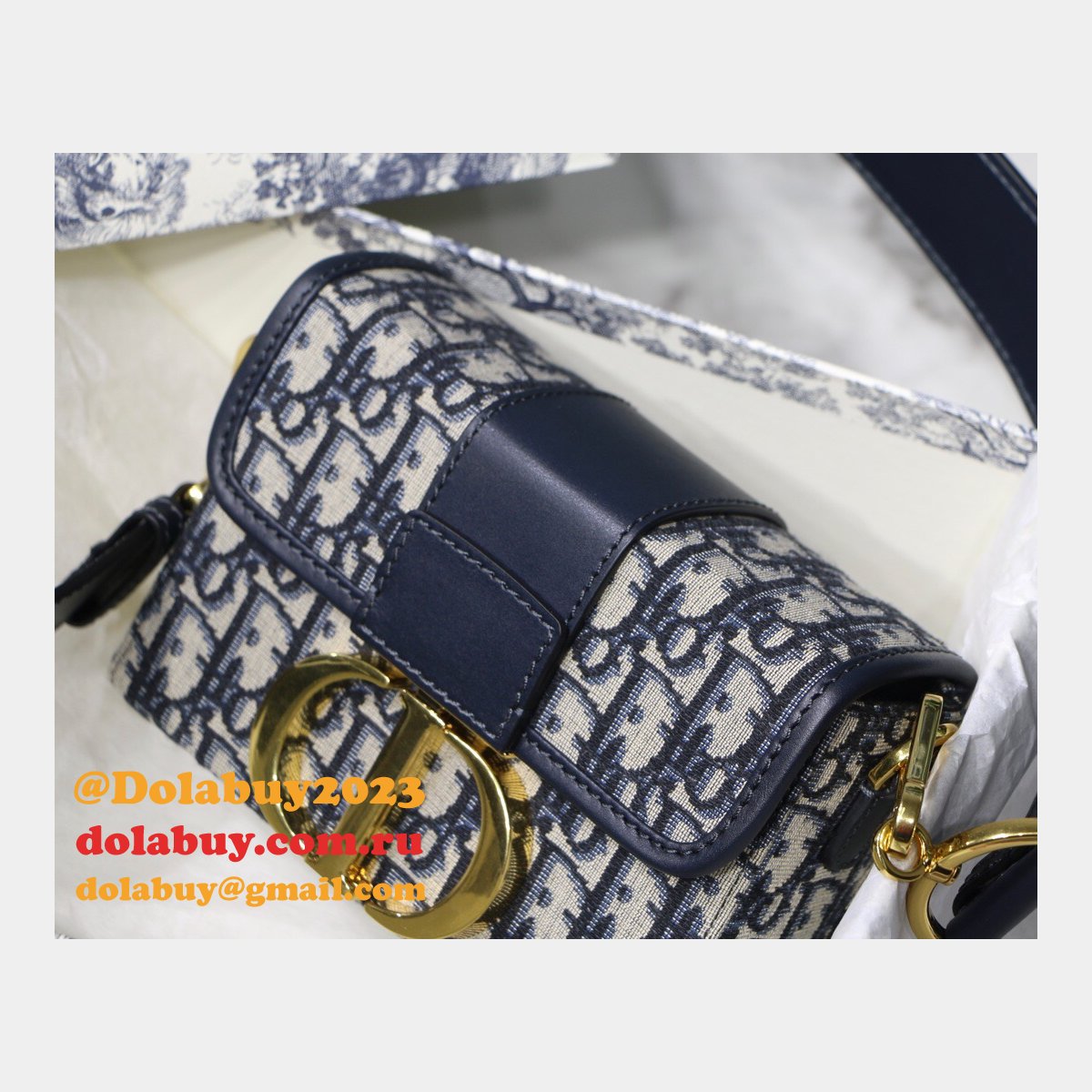 Best Dior Montaigne minibox