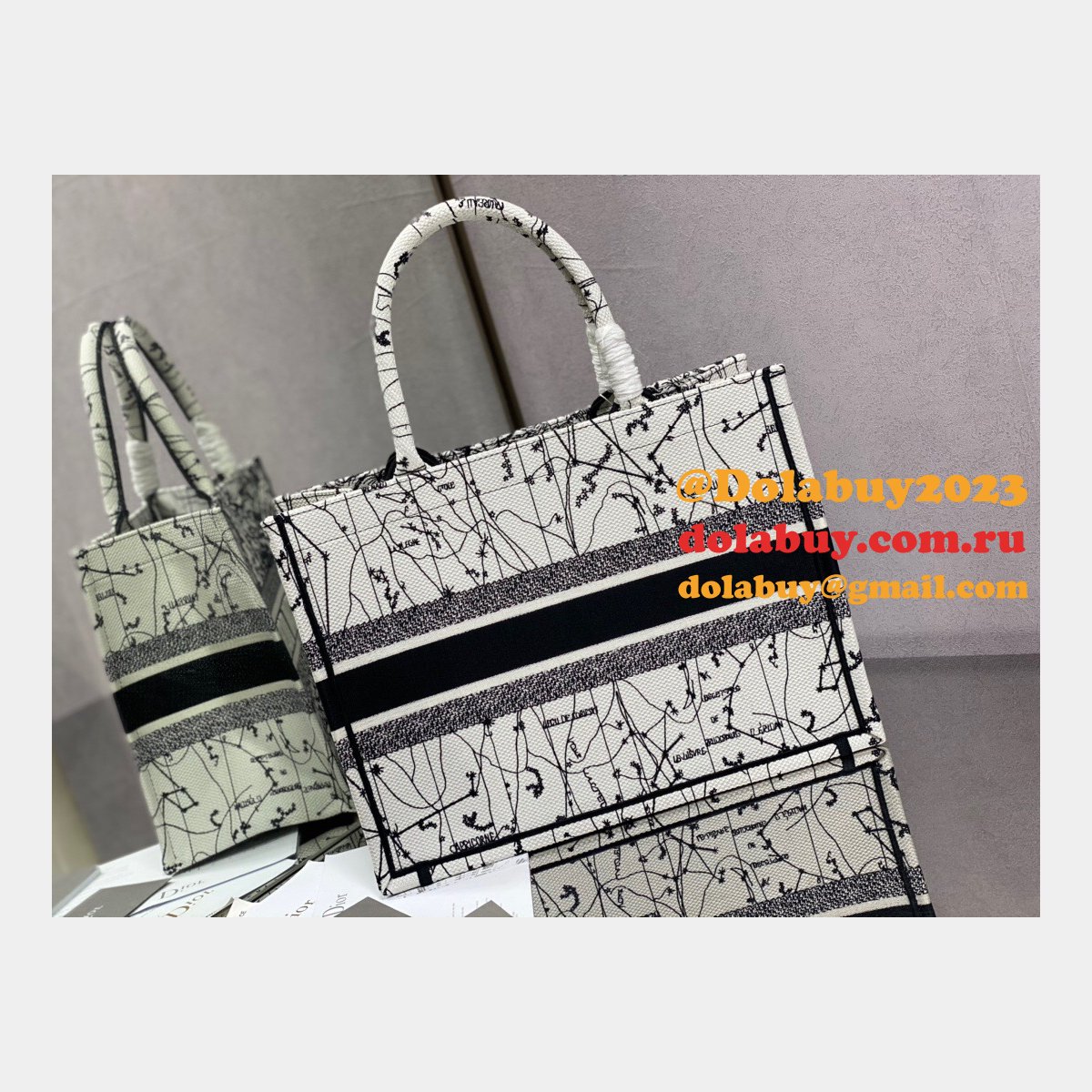 Buy High Quality Dior Replica CD Tote Bags for Women