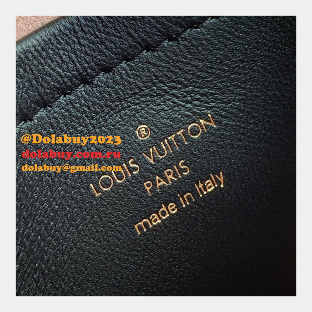 UK China Louis Vuitton Knockoff Pochette Coussin H27 M80742 Black