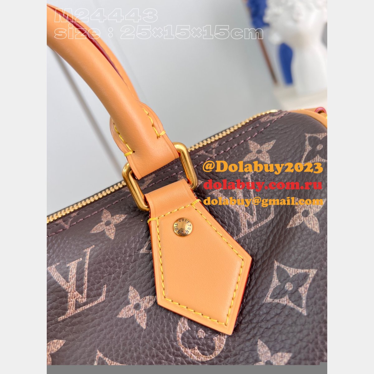 Speedy P9 Bandoulière 25 Autres Cuirs M24423 Knockoff Shop Louis Vuitton Bag