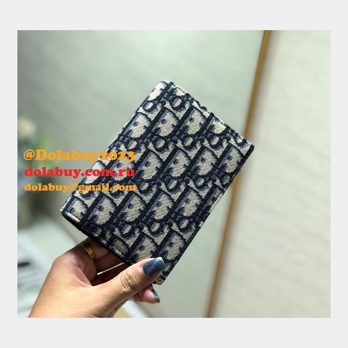 AAA+ Replica Dior Passport Holder