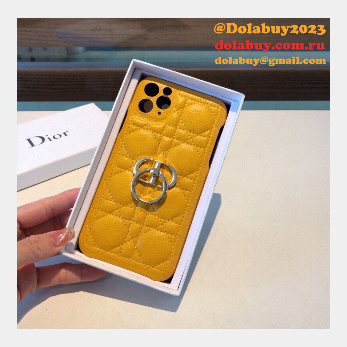 Best Christian Dior iPhone Cases