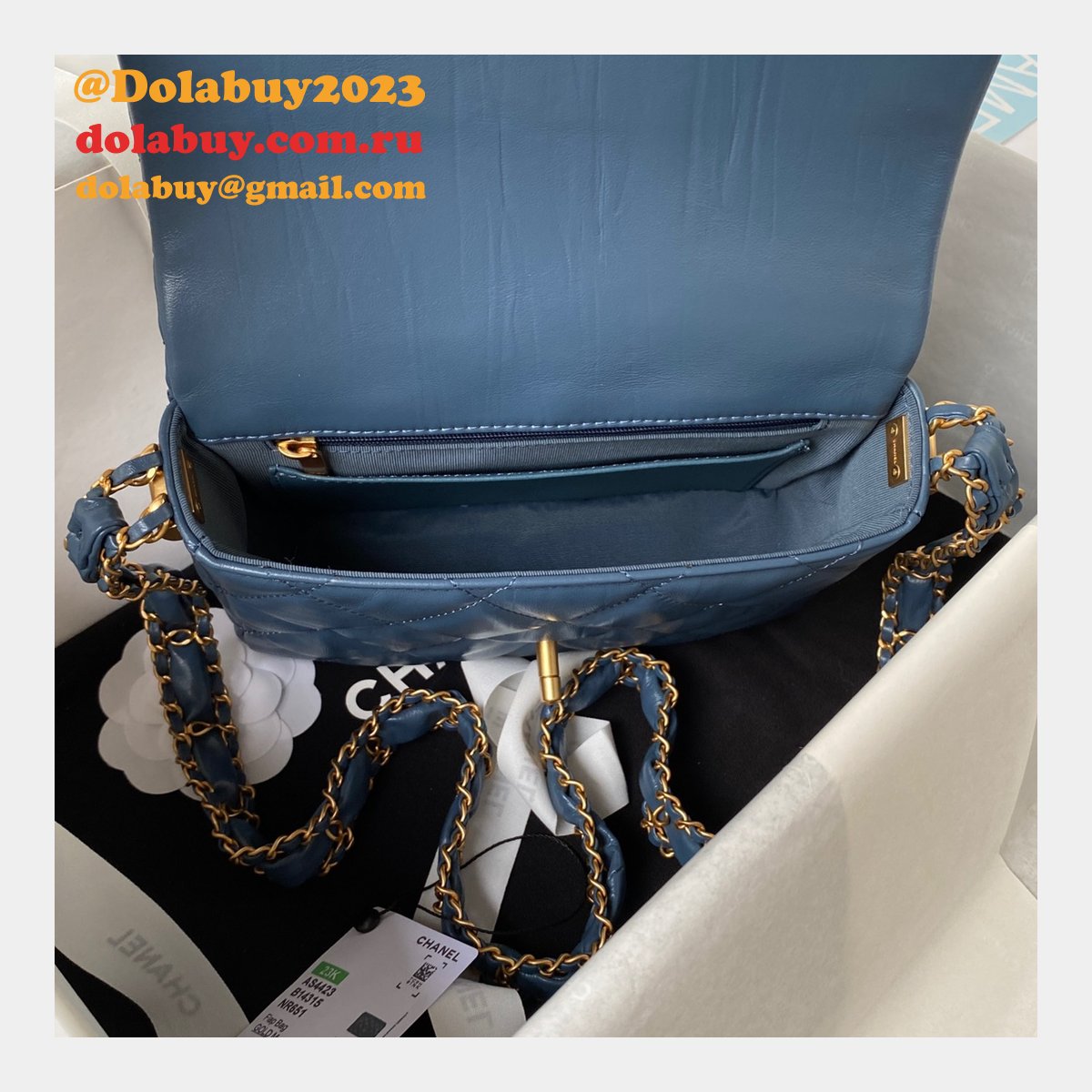 Dolabuy Replica Luxury Flap AS4423 Handbags Sale