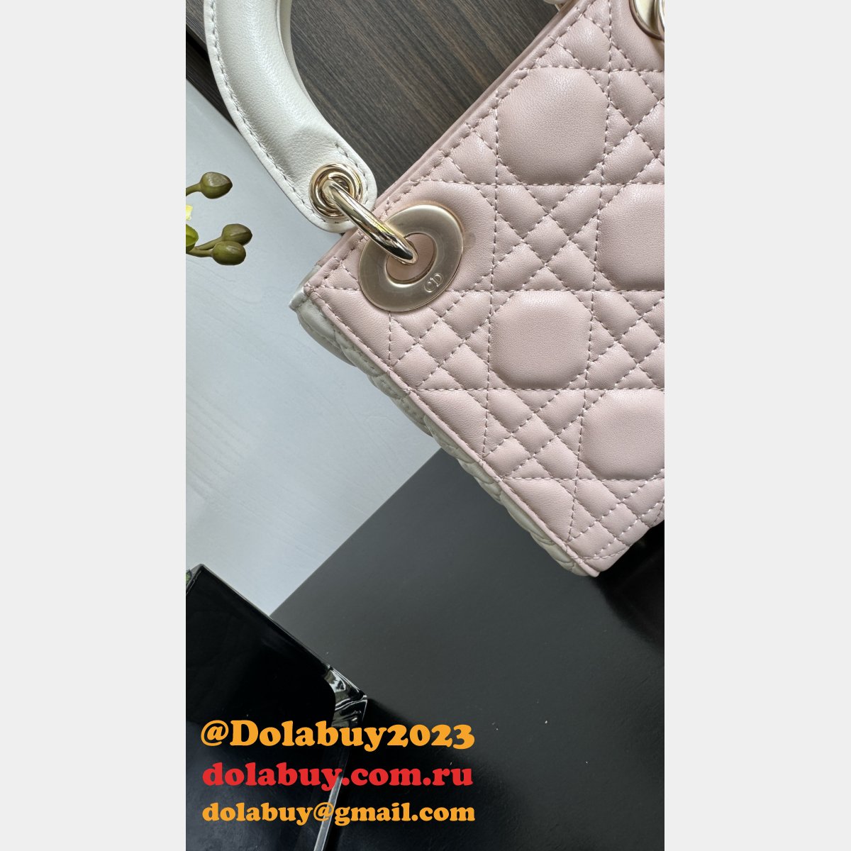 Perfect Quality Replica Christian Lady Dior 17/20cm Bags