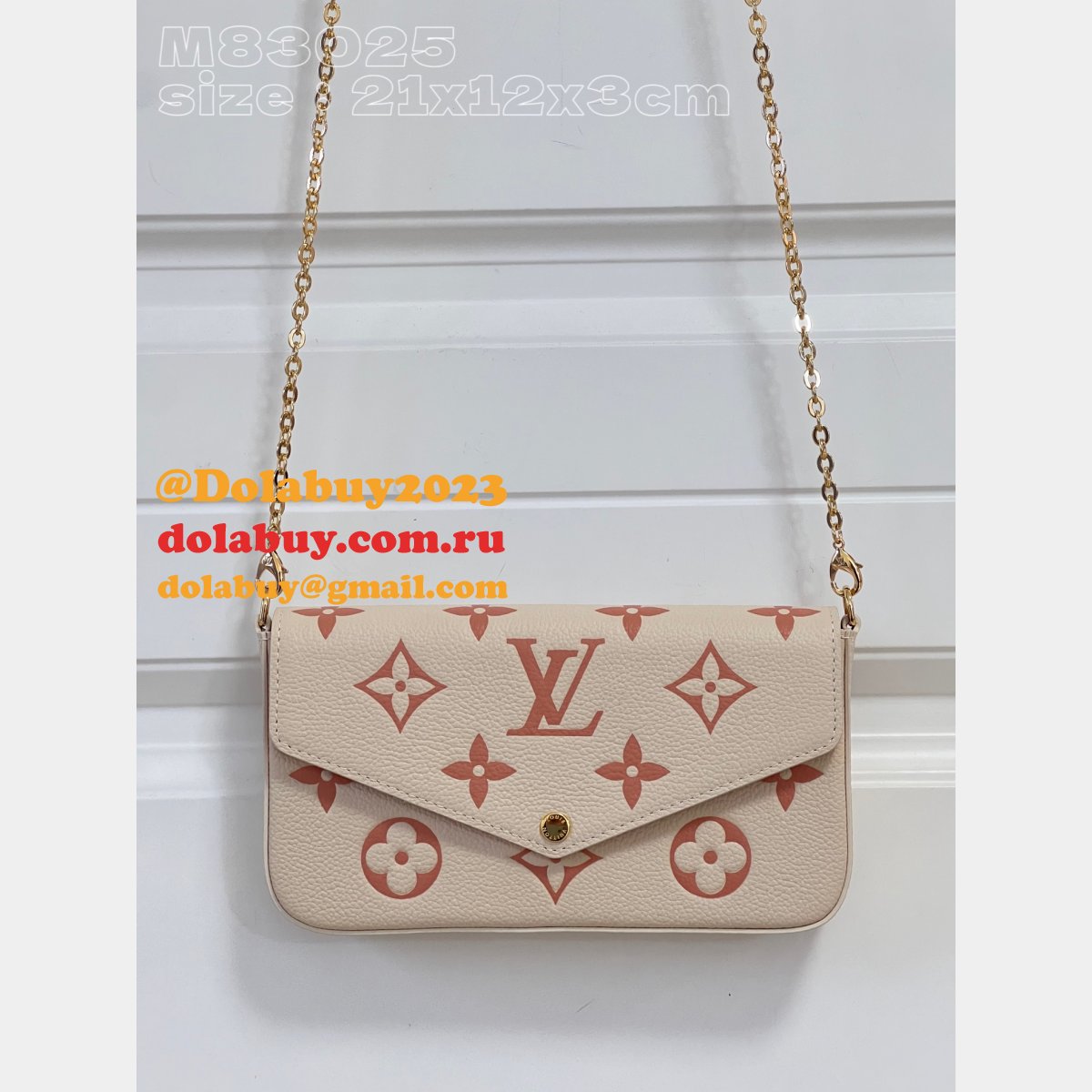 Félicie Pochette Knockoff M64064/M83025 Louis Vuitton Designer Bag