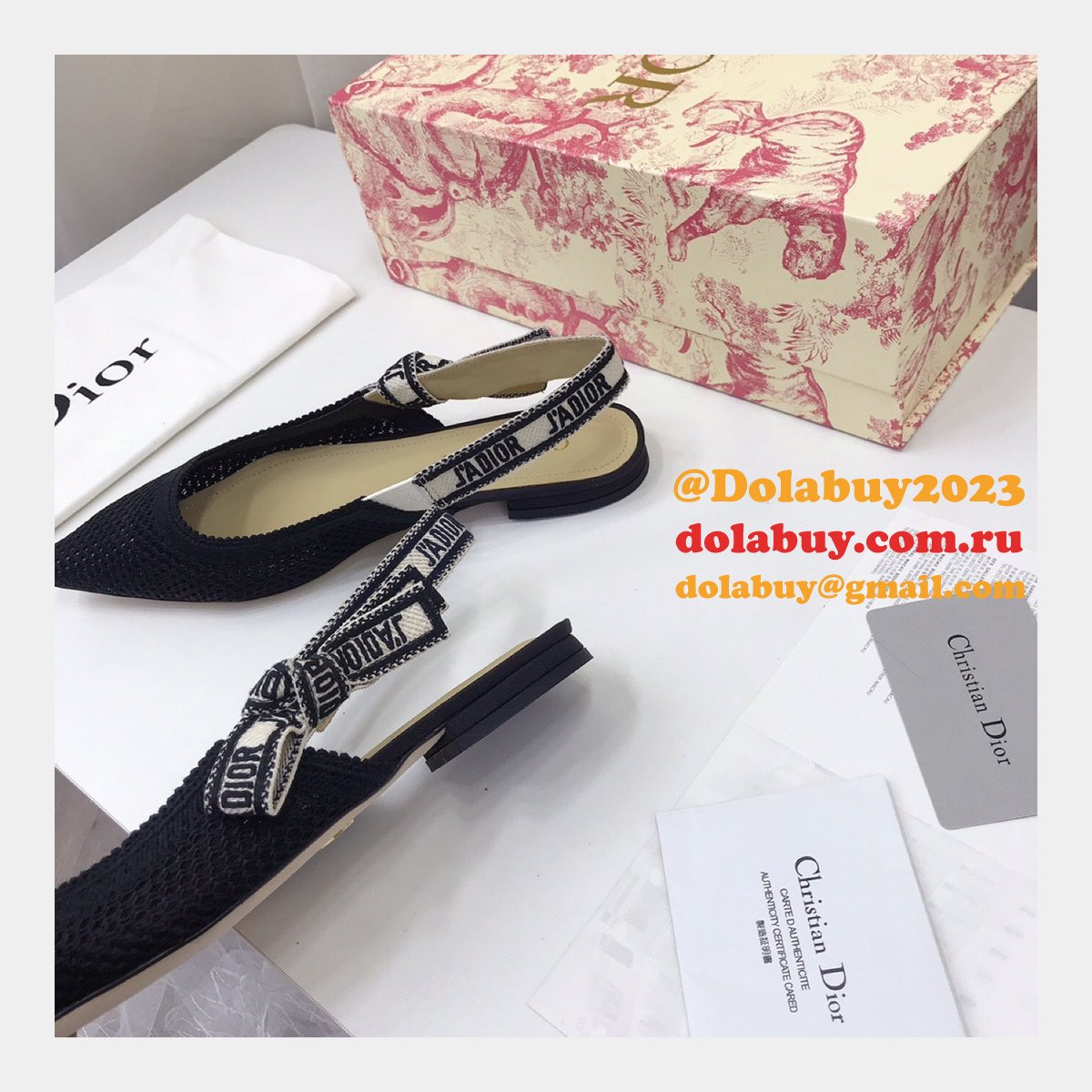 Luxury High Quality Fashion Designer Dior Shoes