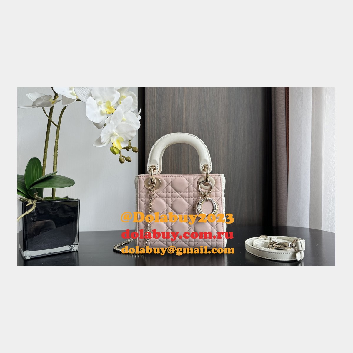Perfect Quality Replica Christian Lady Dior 17/20cm Bags