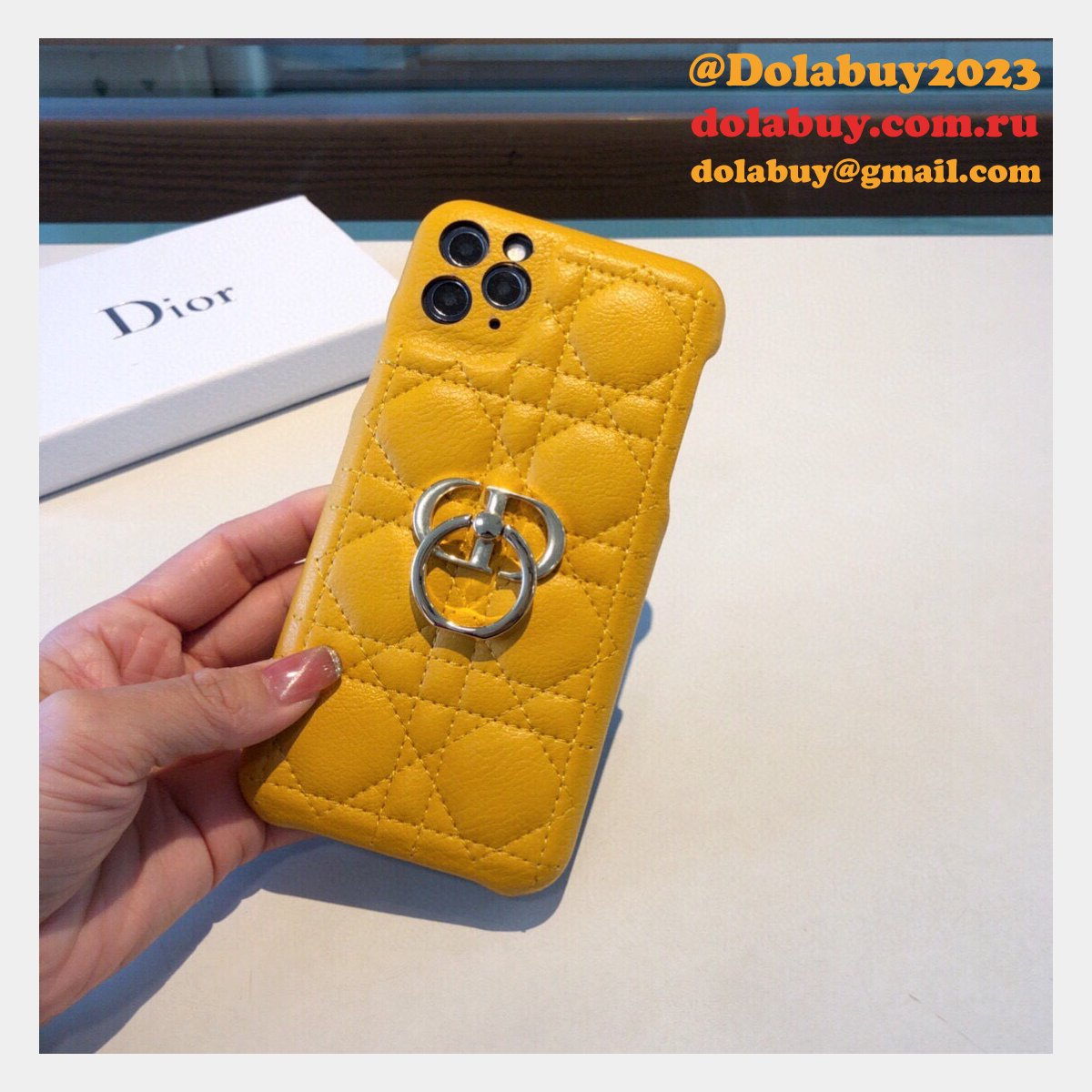 Best Christian Dior iPhone Cases
