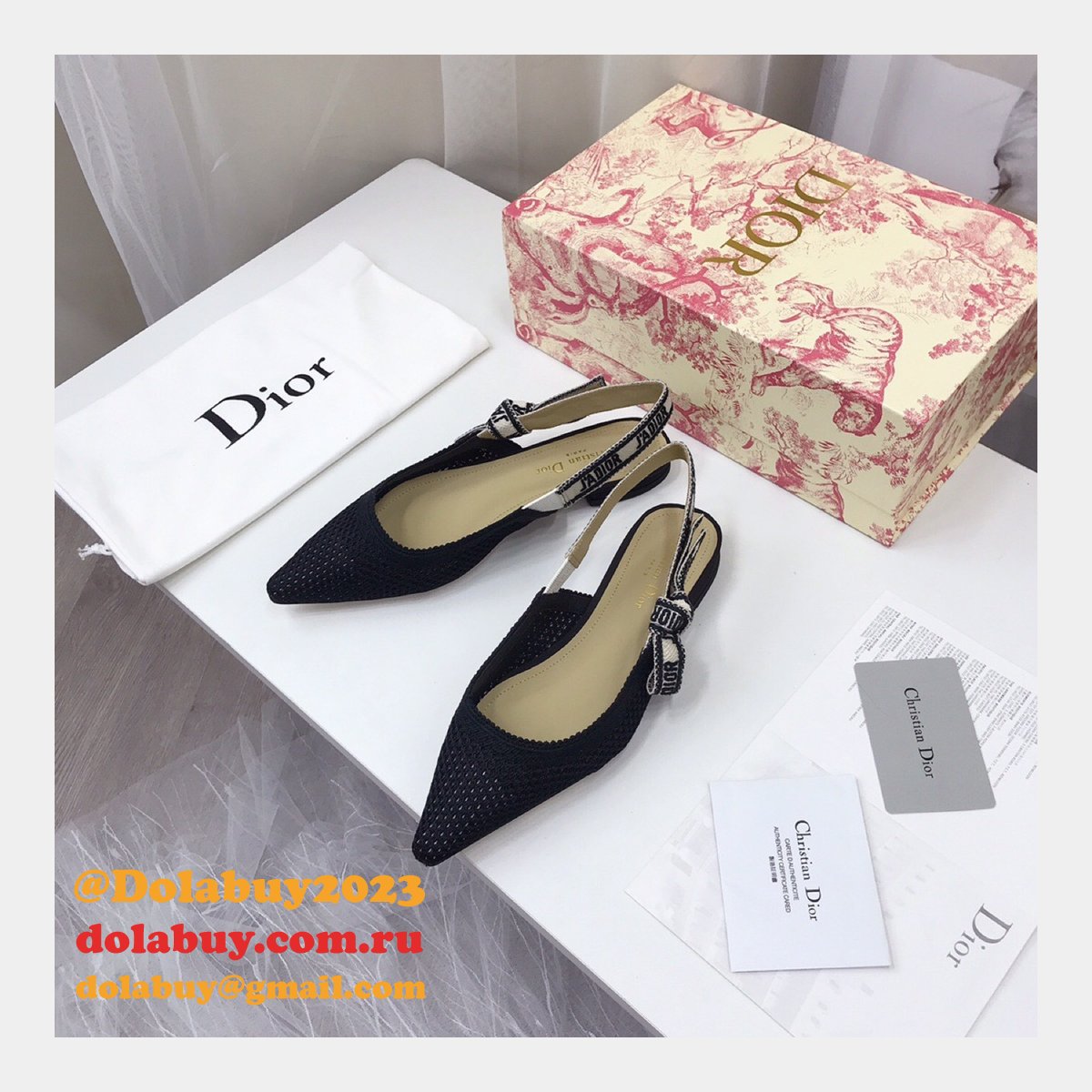 Luxury High Quality Fashion Designer Dior Shoes