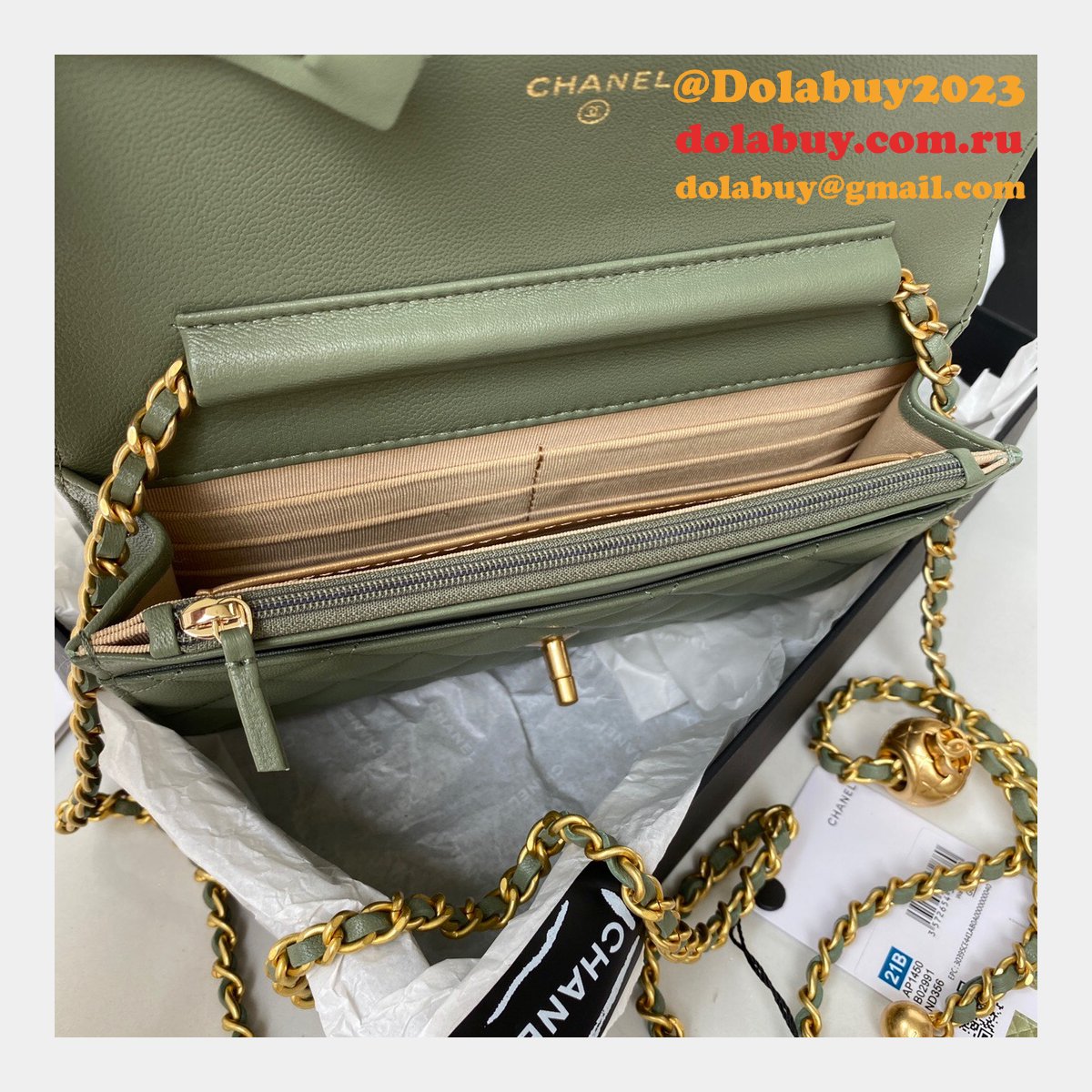 Replica 19CM Iridescent Wallet On Chain WOC AP1450 Bag
