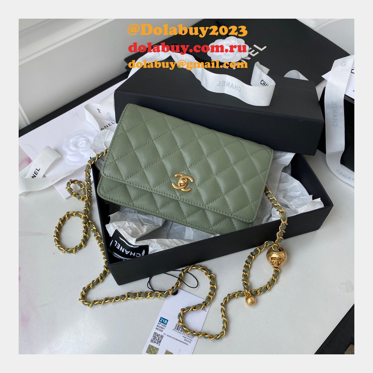 Replica 19CM Iridescent Wallet On Chain WOC AP1450 Bag