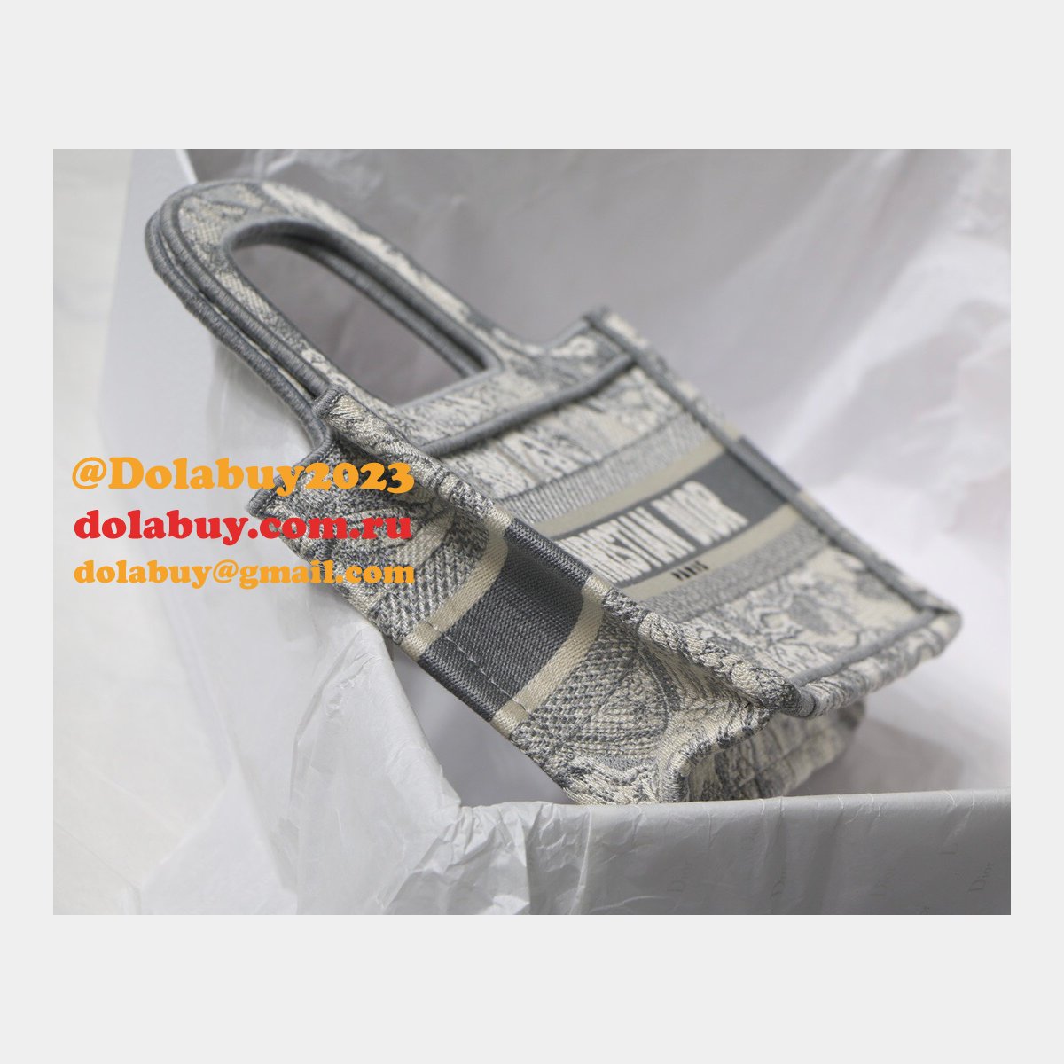 Top Quality Dior Replica Mini Book Tote Bag 22CM Canvas Embroidered