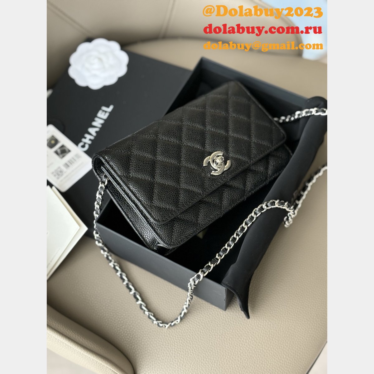 Wallet-On-Chain Replica AAA+ AP2053 Woc Purses
