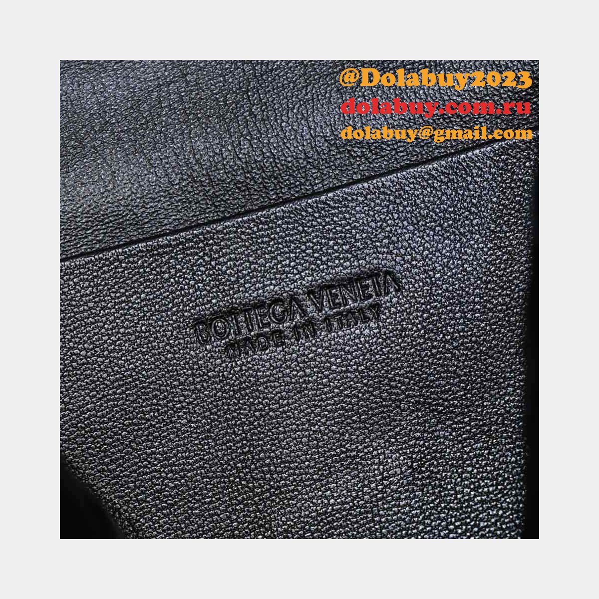 BEST Bottega Veneta Loop Camera Perfect bag 22cm