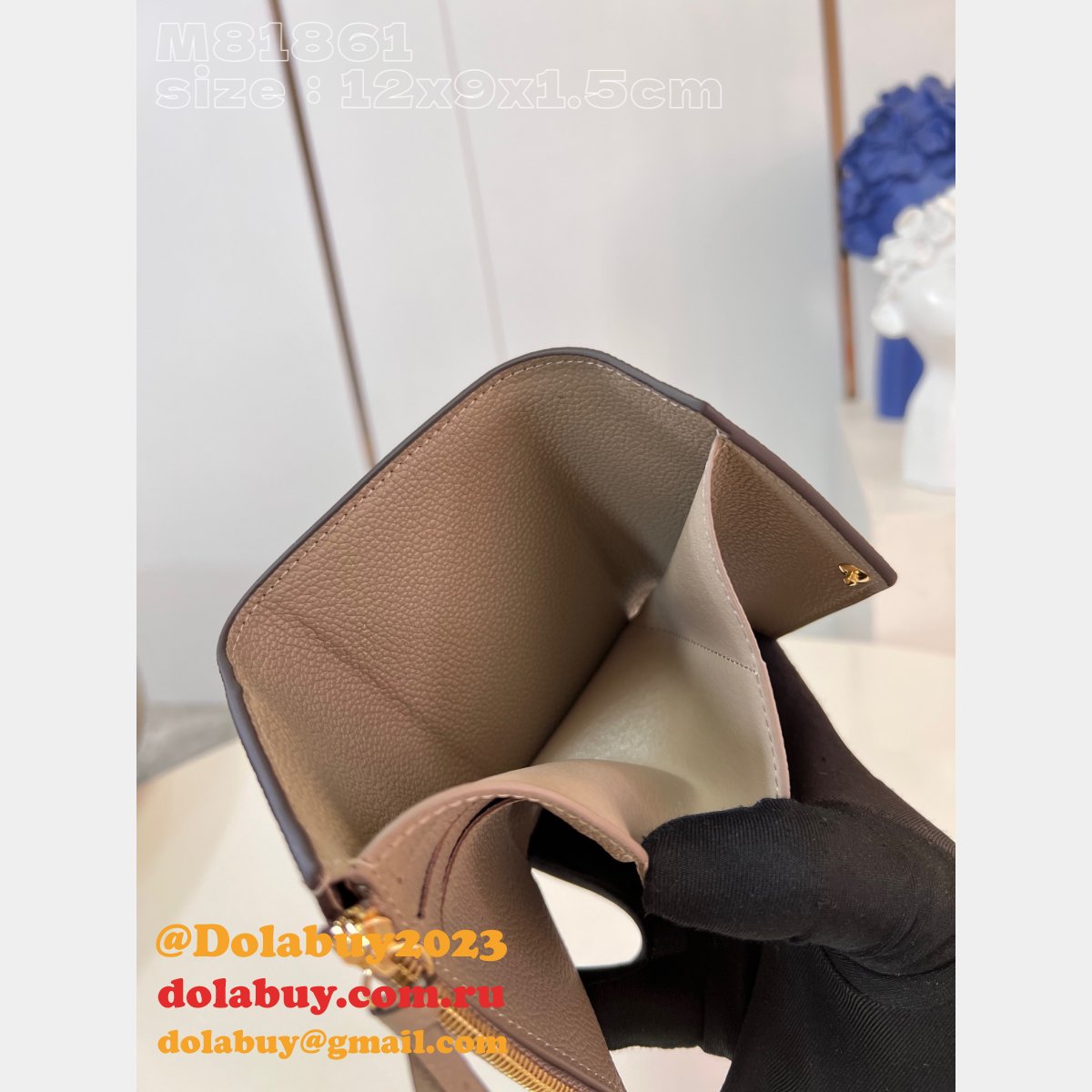 Victorine Wallet Bicolor M81861 Fake Louis Vuitton Gray Bag