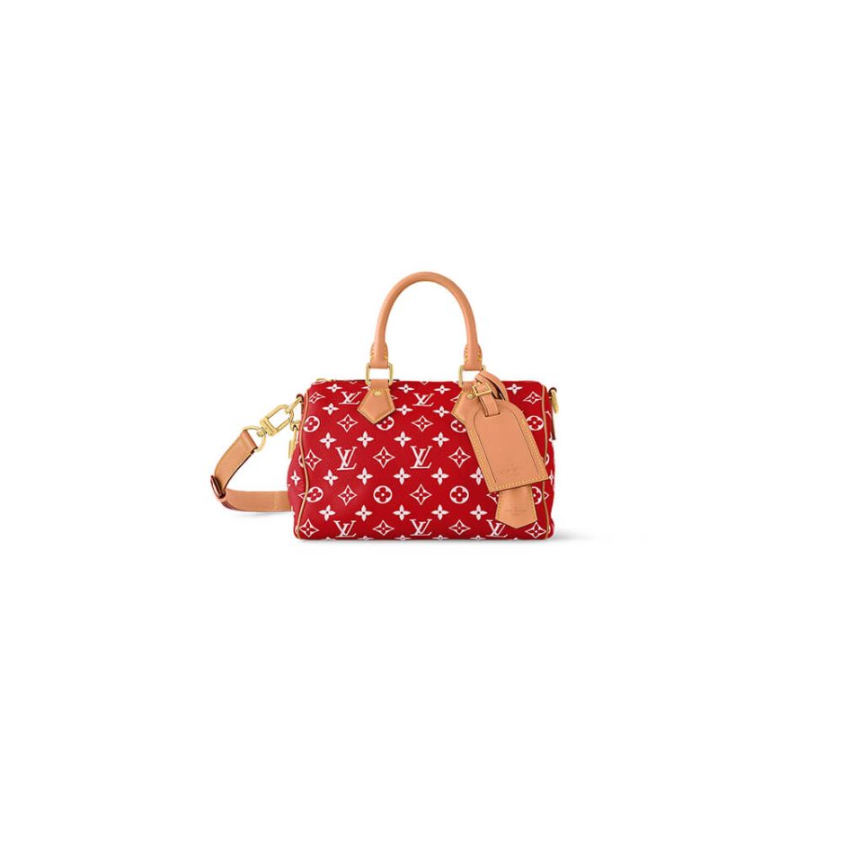 LV Speedy P9 Bandouliere 25