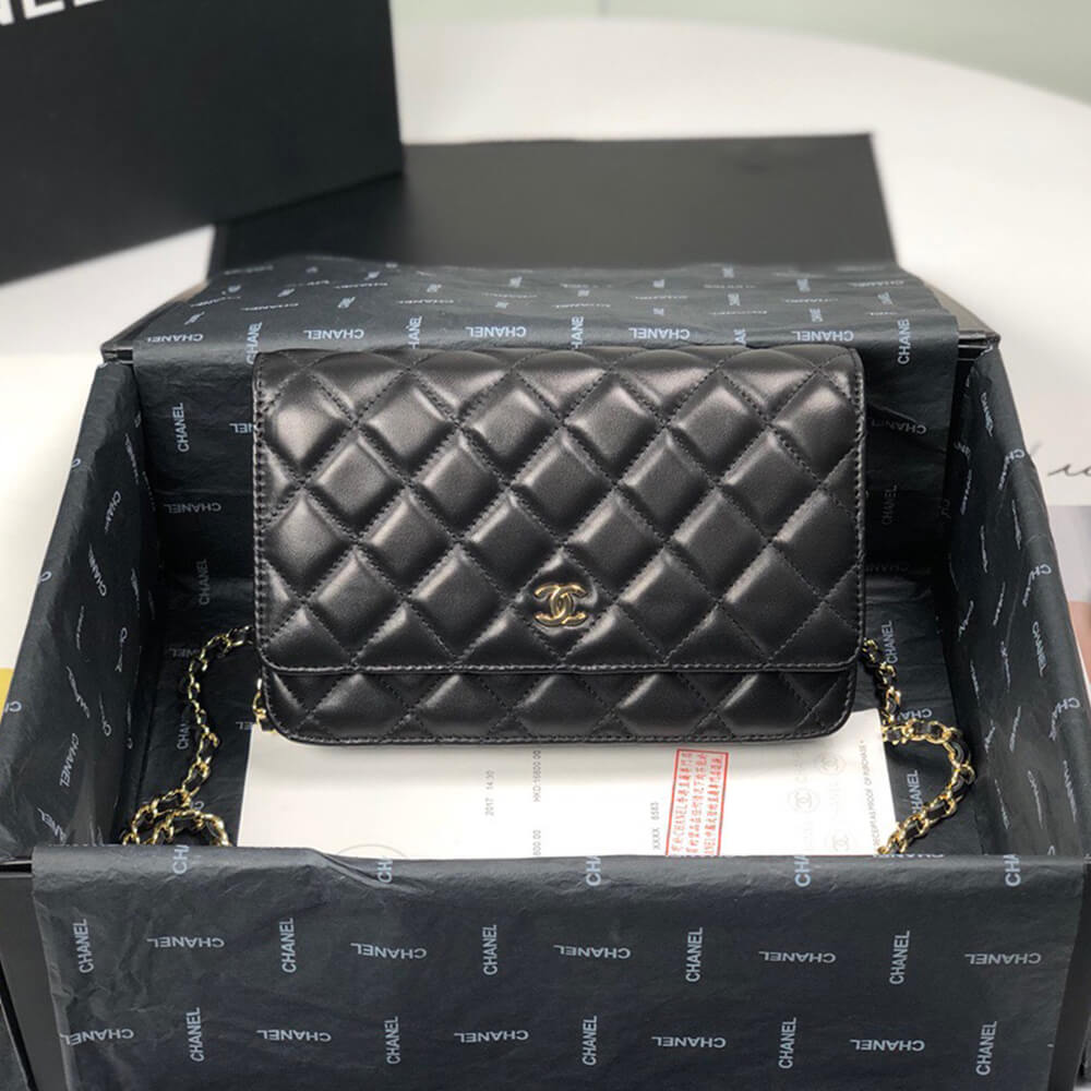 Ch*el wallet on chain
